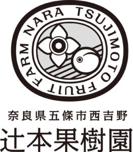 辻本果樹園様